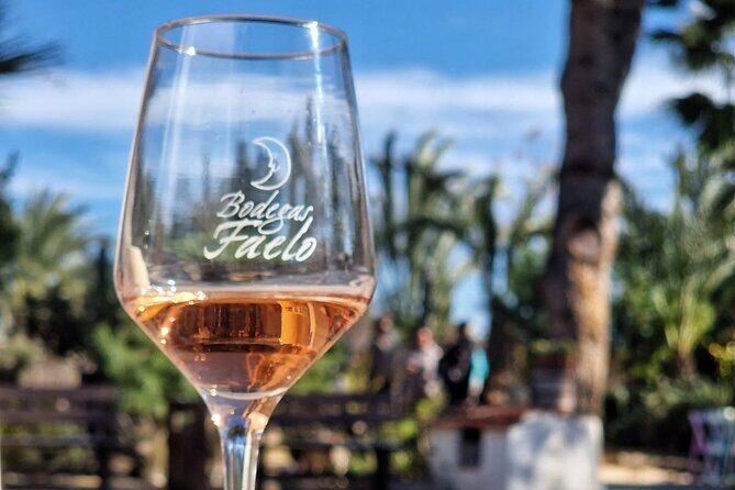 Wine and Tapas Tasting Tour from Alicante, Private Van - Key Points