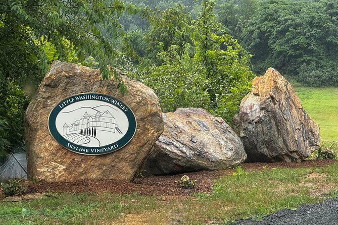 Wine Bootcamp - Led by our winemaker - A Detailed Look at the Virginia Wine Bootcamp