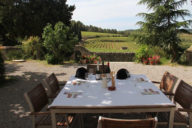 Wine & Cava Penedes Tour: Wineries, Wine Tasting and Tapas - Key Points