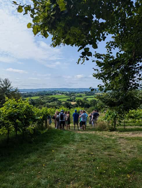 Wine & Cheese in the Somerset Valleys - with Michelin lunch - A Day of Gourmet Delights in Somerset: Wine, Cheese, and Scenic Vistas