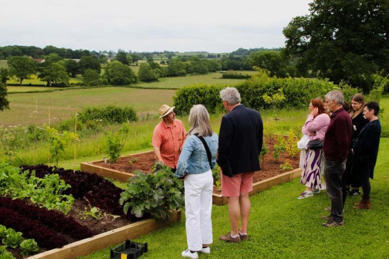 Wine & Cheese in the Somerset Valleys - with Michelin lunch - Key Points