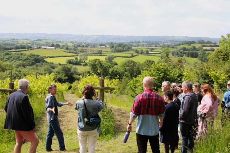 Wine & Cheese in the Somerset Valleys - with Michelin lunch - Practical Details and Value