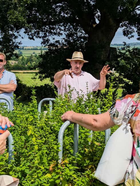 Wine & Cheese in the Somerset Valleys - with Michelin lunch - Who Will Love This Tour?