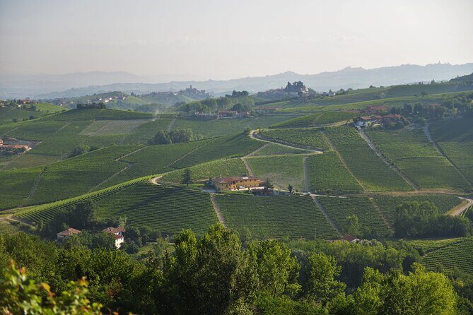 Wine & Chocolate Tour and Tasting in Alba area - FAQ