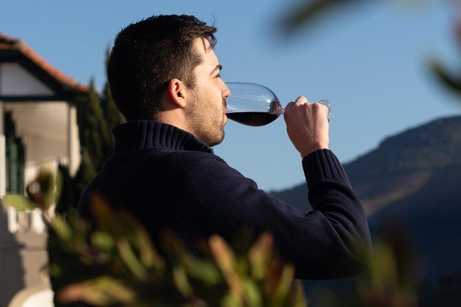 Wine Class Portugal wines in a small farm with a visit to the winery - Key Points