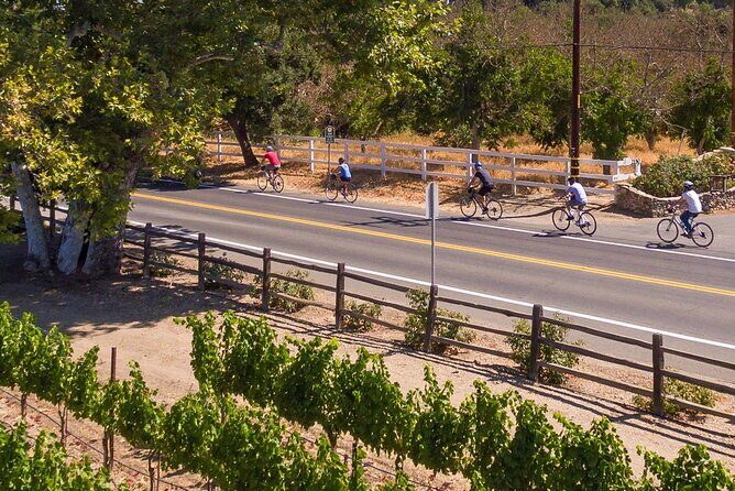 Wine Country E-Bike Guided Tour - w/o Lunch - Exploring Santa Barbara’s Wine Country on Two Wheels