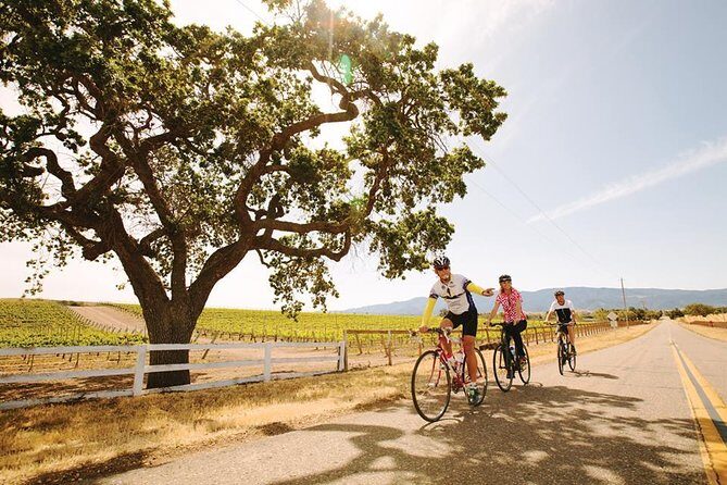 Wine Country Farm to Table Bike Tour w/Lunch - A Friendly Ride Through Santa Barbara’s Wine Country: The Farm to Table Bike Tour