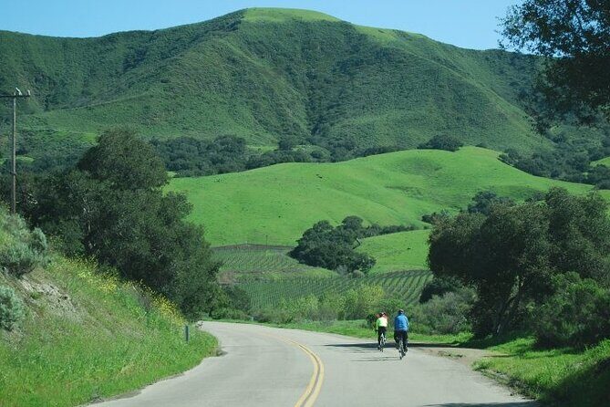 Wine Country Half-Day Bike Tour from Solvang - w/o Lunch - The Ride Through Santa Barbara’s Countryside