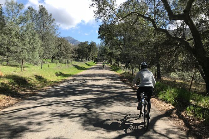 Wine Country Half-Day Bike Tour from Solvang - w/o Lunch - An In-Depth Look at the Santa Barbara Wine Country Bike Tour