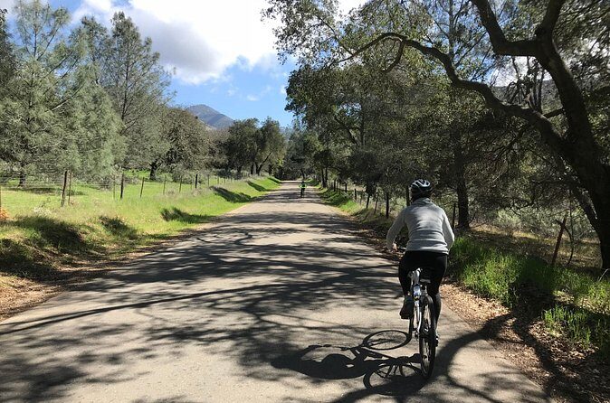 Wine Country Half-Day Bike Tour from Solvang - w/o Lunch - Who Should Consider This Tour?