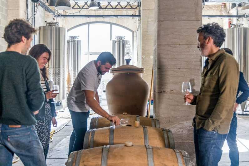 Wine creation workshop - Bordeaux - Darwin - Final Thoughts: Is It Worth It?