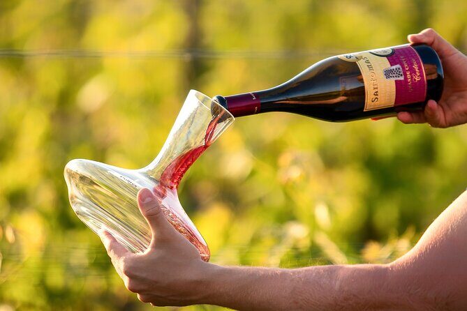 Wine Degustation in the Heart of Slovenian Istria - Understanding the Experience: An In-Depth Look