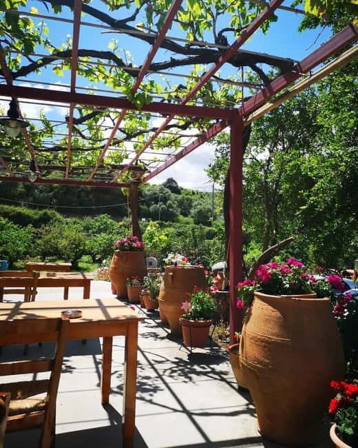 Wine, Dine & Divine: A Cretan Odyssey in Chania - A Deep Dive into the Cretan Experience