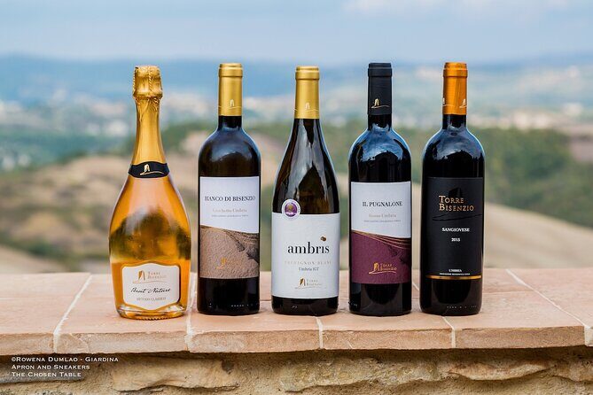 Wine Experience at Torre Bisenzio Winery - Exploring the Itinerary: What to Expect