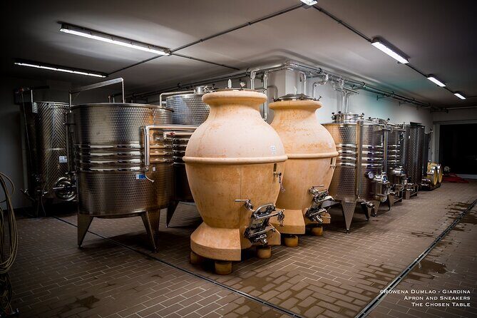 Wine Experience at Torre Bisenzio Winery - Analyzing the Cost and Value
