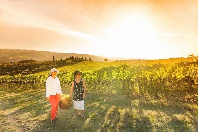 Wine experience Bologna hills - Key Points