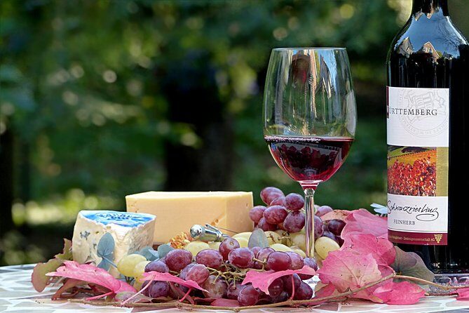 Wine experience Bologna hills - FAQ
