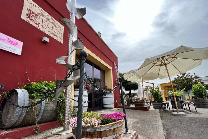 Wine Experience - FAQ