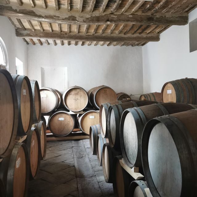 Wine Experience in an Organic Chianti Winery - The Value of the Experience