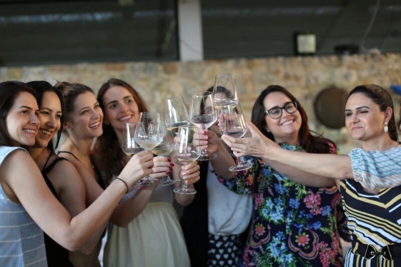 Wine Experience in an Organic Chianti Winery - Practical Tips