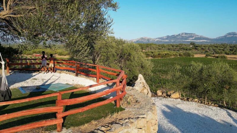 Wine experience in Dorgali in the heart of the Cannonau Classic Zone - Wine experience in Dorgali in the heart of the Cannonau Classic Zone