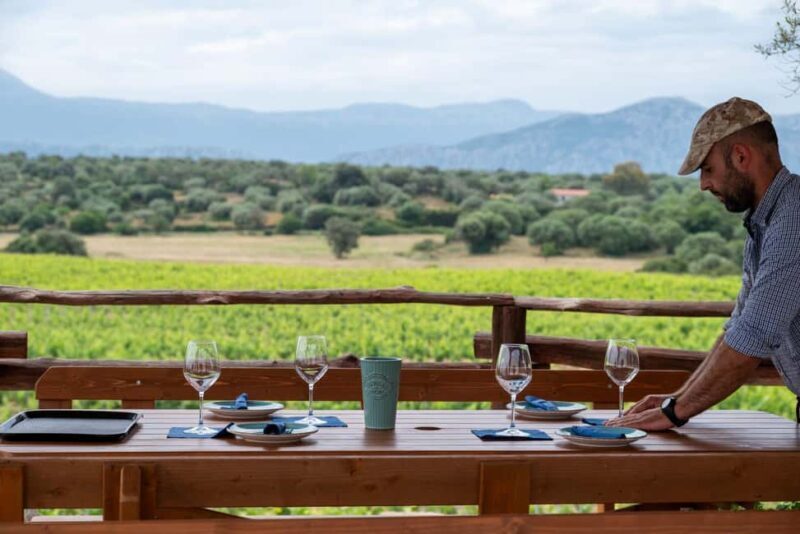 Wine experience in Dorgali in the heart of the Cannonau Classic Zone - The Sum Up