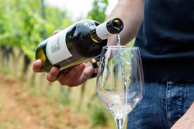 Wine Experience in farm vineyard & winery from Montecatini T. - Key Points