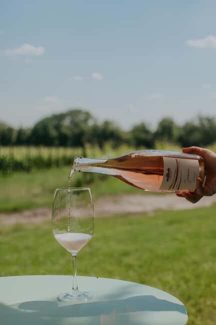 WINE EXPERIENCE - Le Vie Angarano winery - Who Should Consider This Tour?