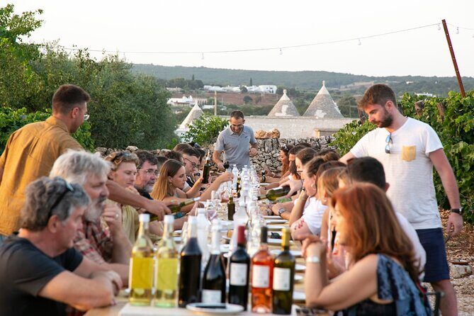 Wine Experience: vineyard, wines and food - FAQs