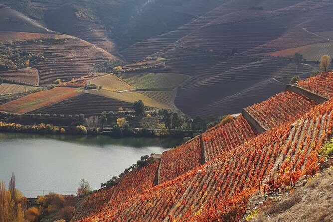 Wine experience with a sommelier - FAQ