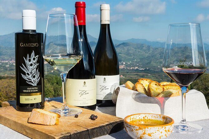 Wine & Food Tasting on Etna's Winery Private Tour - Final Thoughts