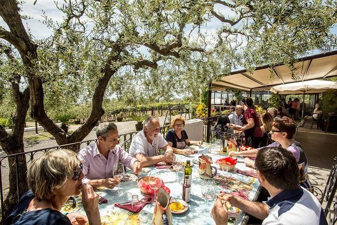 Wine & Food Tour at the Vesuvius Winery - Who Should Consider This Tour?