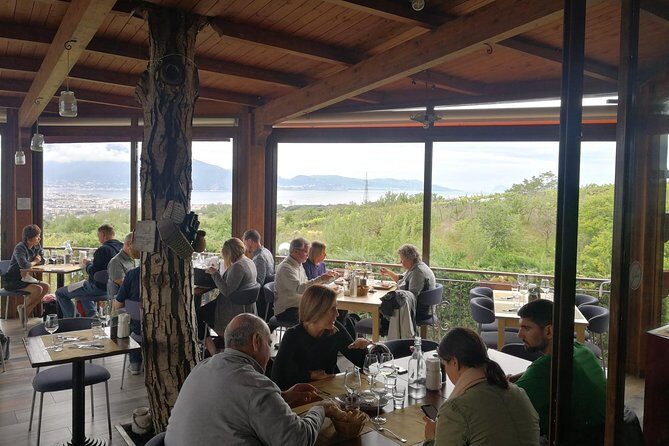 Wine & Food Tour at the Vesuvius Winery - Final Thoughts