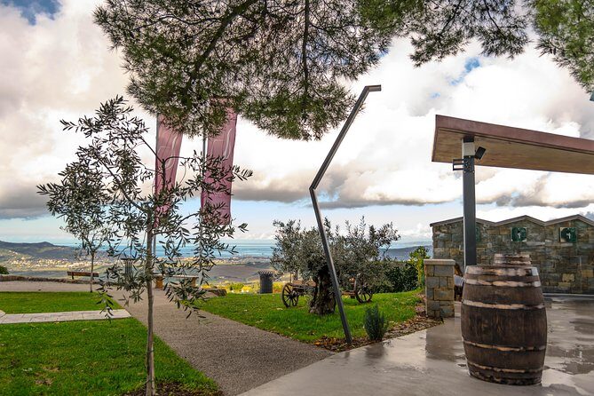 Wine Fountain Tour from Koper - Exploring the Wine Fountain Tour from Koper