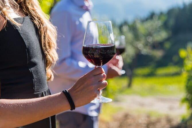 Wine Hiking Sip & Trek - An In-Depth Look at the Tuscany Wine Hiking Sip & Trek