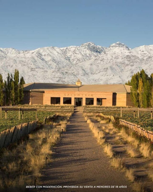 Wine Icons: Meet Salentein at the heart of Uco Valley - Wine Icons: Meet Salentein at the Heart of Uco Valley