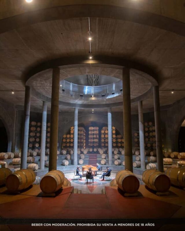 Wine Icons: Meet Salentein at the heart of Uco Valley - Is This Tour Worth It?