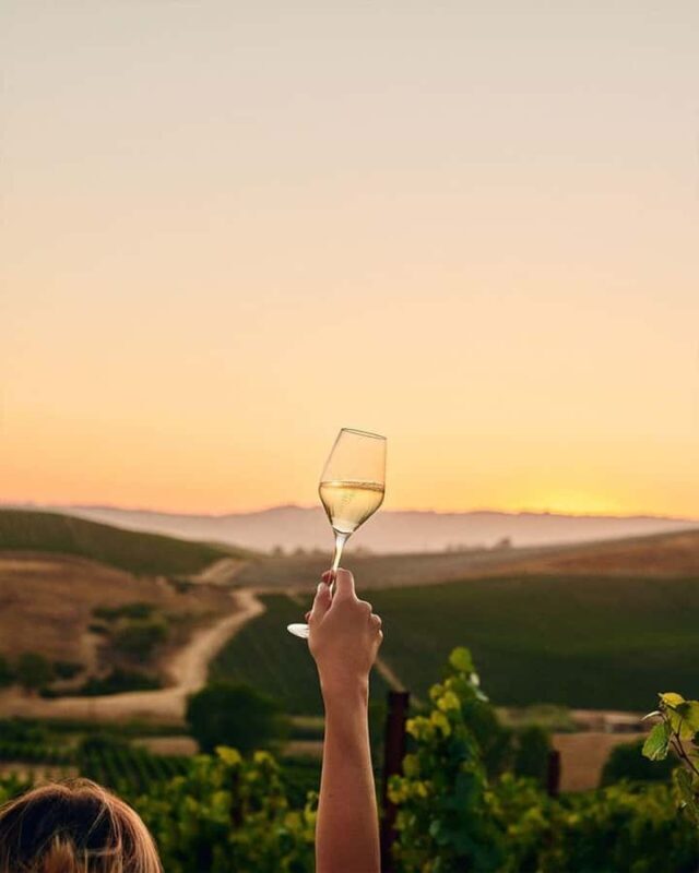 Wine Icons: Meet the sparkling world of Chandon - Additional Options and Considerations