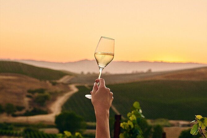 Wine Icons Tour in the Sparkling World of Chandon - Key Points