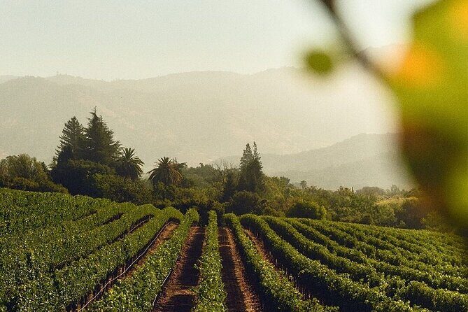 Wine Icons Tour in the Sparkling World of Chandon - Final Thoughts