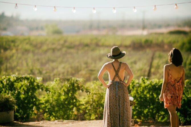Wine Lovers - Punta Wine Experience - Key Points