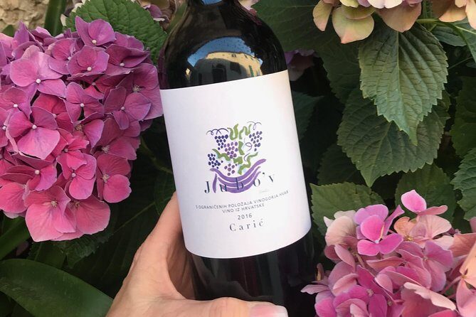 Wine Lovers tour from Hvar - Review Highlights and Authentic Feedback