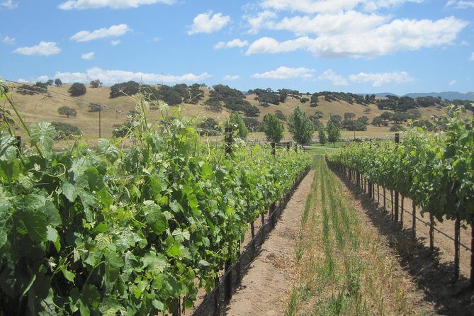 Wine Lovers Tour from Santa Barbara Area - Exploring Santa Barbara’s Wine Country
