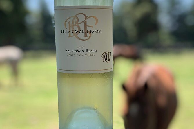 Wine Lovers Tour from Santa Barbara Area - Who Is This Tour Best For?