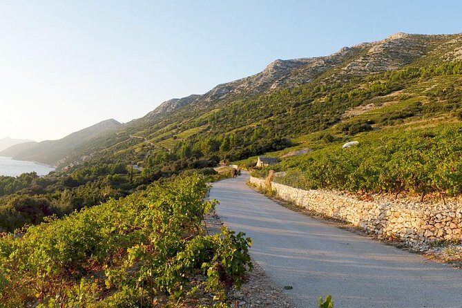 Wine Lover's Tour of Peljesac Peninsula - Exploring the Itinerary: What You Can Expect