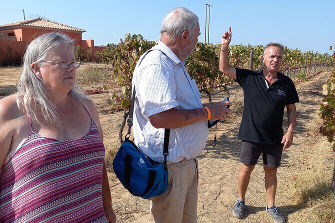 Wine Lovers: Winery Tour w/ Tasting & Tapas (Albufeira/Vilamoura) - A Deep Dive into the Albufeira Winery & Scenic Tour