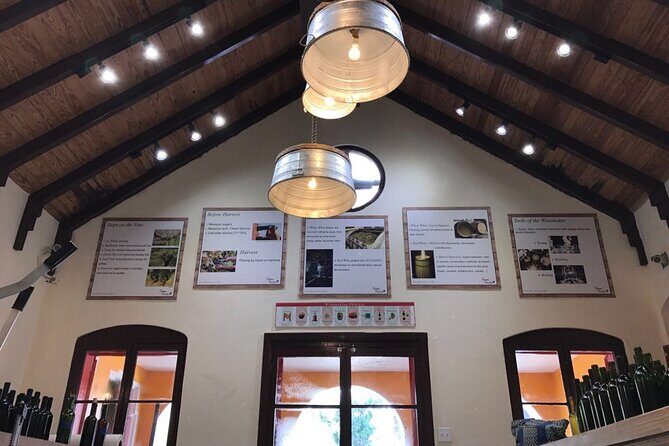 Wine Maker Class at Bahama Barrels - Why We Recommend the Wine Maker Class