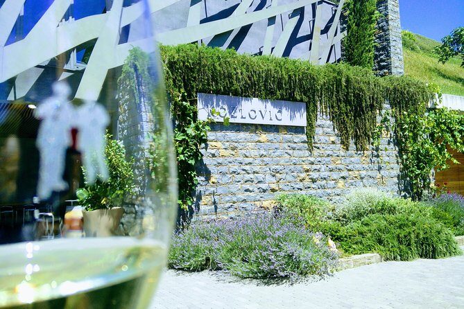 Wine & more Tour , private guided wine tour from POREC, UMAG ,Istria - Exploring the Wine & More Tour in Istria: A Practical Guide