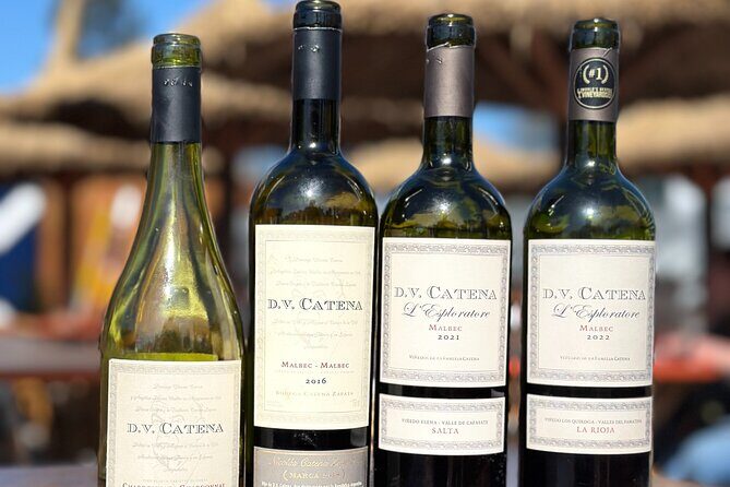 Wine & music experience by D.V. Catena con tabla de fiambres - A Taste of Argentina’s Wine and Melodies in Buenos Aires