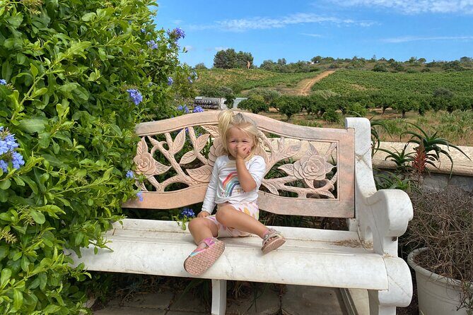 Wine Not Algarve Winery Tour - FAQ